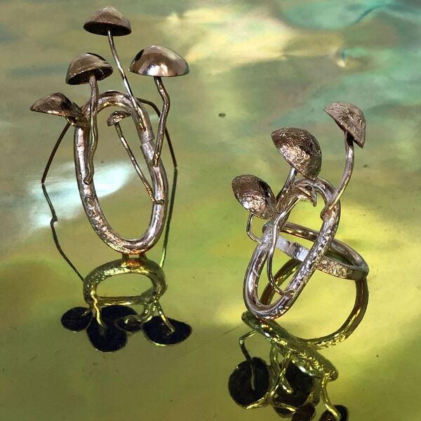 Work by Deanna Wawn, image 11